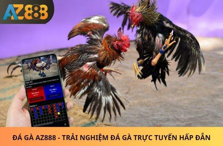 Giới thiệu về Đá Gà AZ888