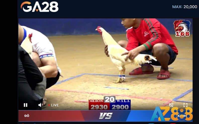 GA28 phát sóng các trận đấu với hình ảnh sắc nét GA28 phát sóng các trận đấu với hình ảnh sắc nét