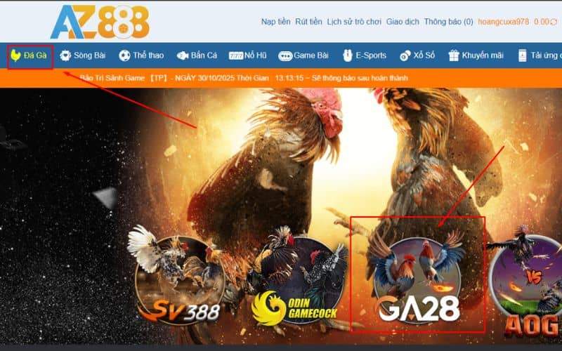 Hướng dẫn cơ bản các bước tham gia đặt cược Hướng dẫn cơ bản các bước tham gia đặt cược