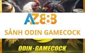ODIN GAMECOCK