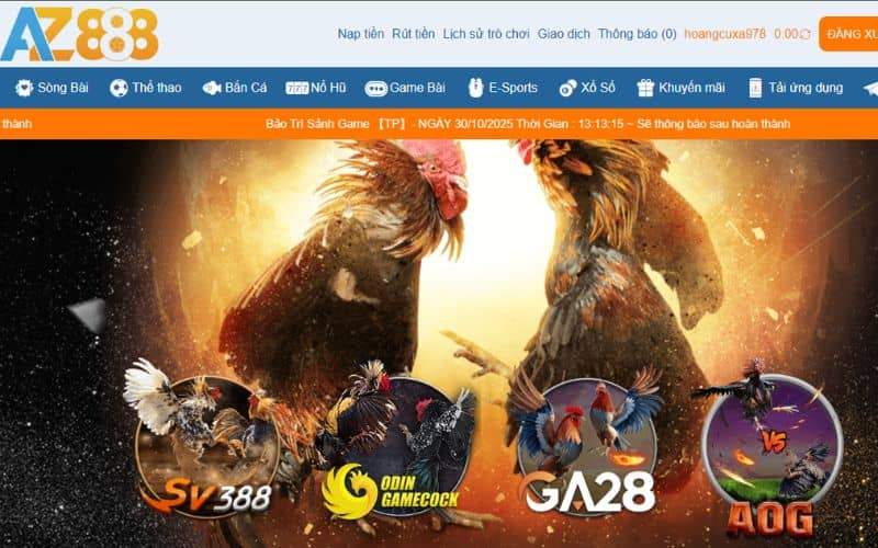 ODIN GAMECOCK là một trong những sảnh cược tại AZ888 ODIN GAMECOCK là một trong những sảnh cược tại AZ888